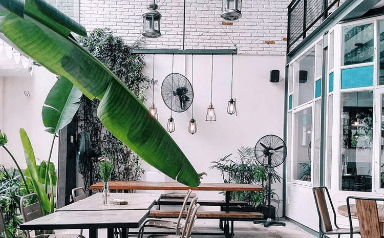 Cafe Kokois với không gian rất thoải mái và tươi mát - các địa điểm hẹn hò ở tphcm