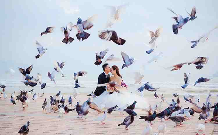 Công viên biển đông nhiều chim bồ câu là địa điểm hẹn hò ở Đà Nẵng rất thú vị